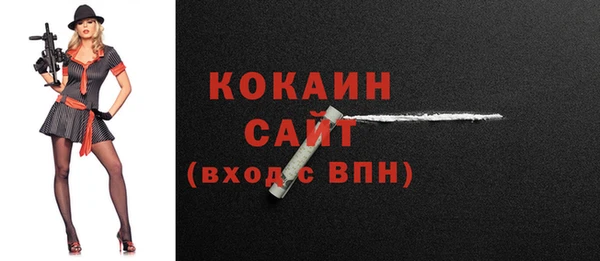 амф Гусь-Хрустальный