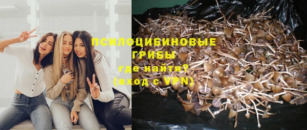 каннабис Горняк