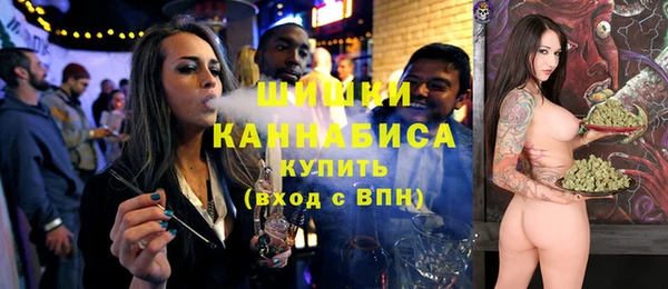 амф Гусь-Хрустальный