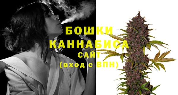 амф Гусь-Хрустальный