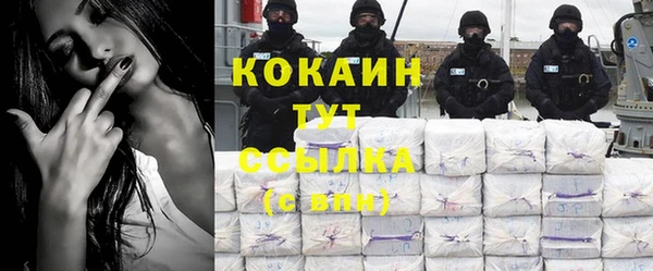 амф Гусь-Хрустальный