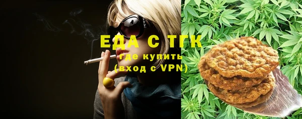 амф Гусь-Хрустальный