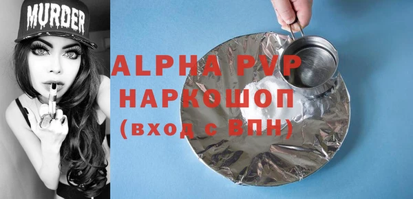 амф Гусь-Хрустальный