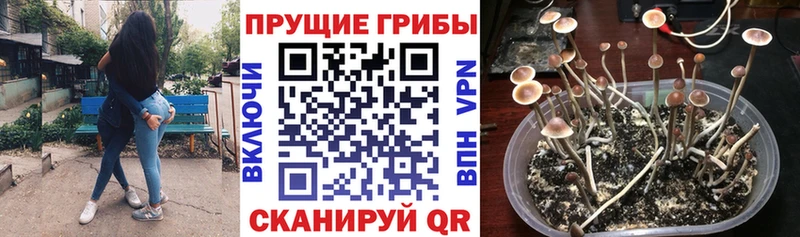 Галлюциногенные грибы Magic Shrooms  KRAKEN зеркало  Горняк 
