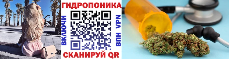Канабис Amnesia  купить наркотик  Горняк 